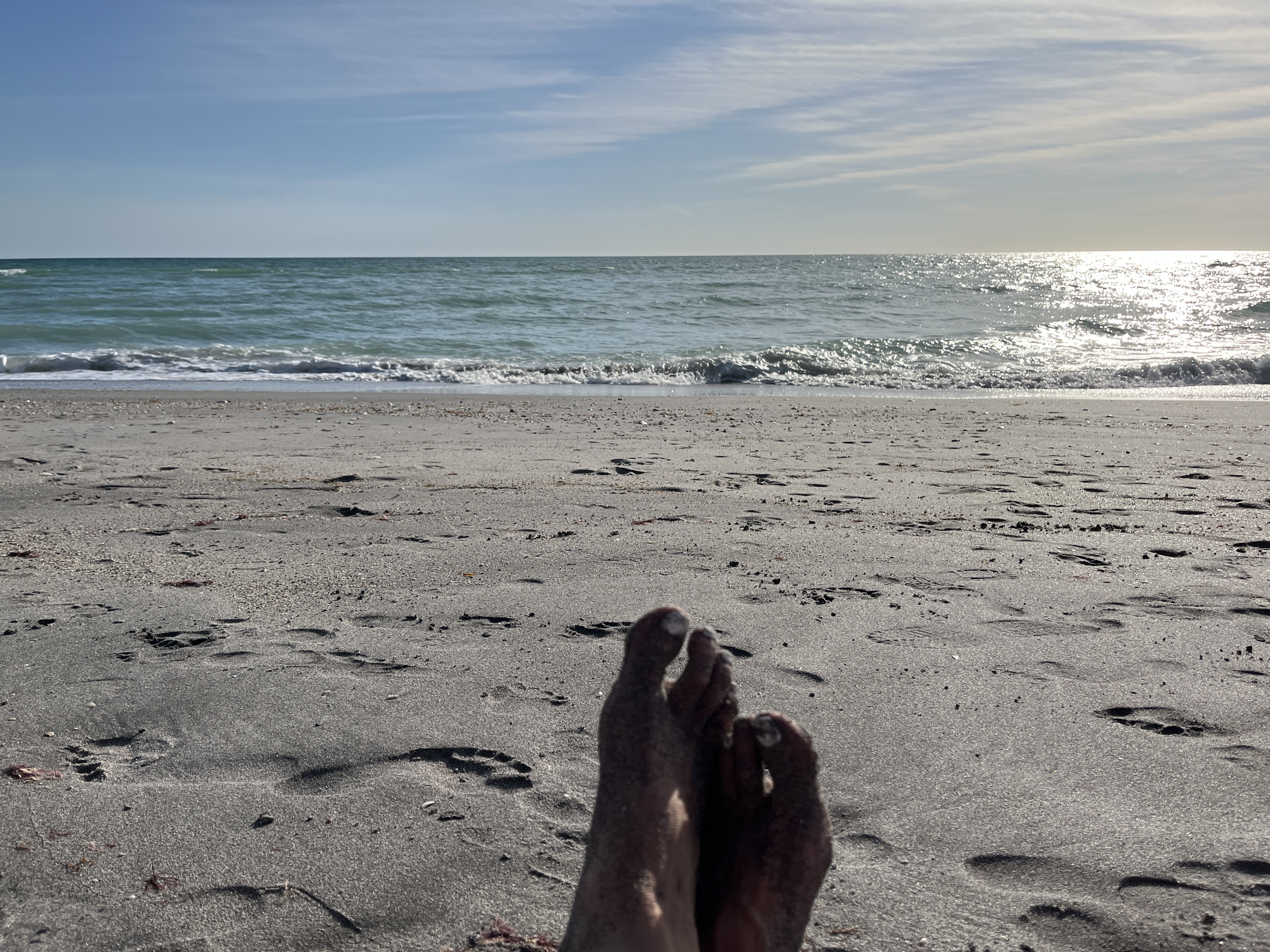 Venice Beach, Venice FL