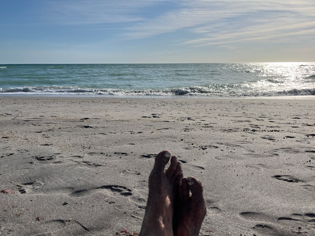 Venice Wine Experiences?&nbsp;What?