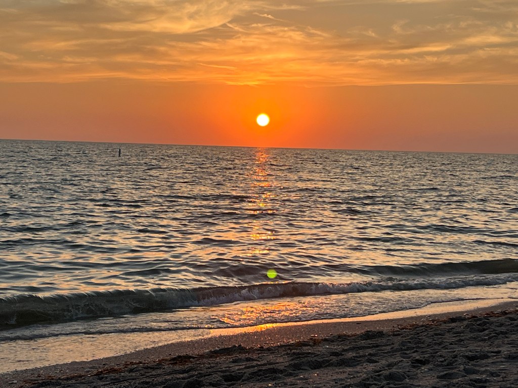 Sips on the&nbsp;Seashore