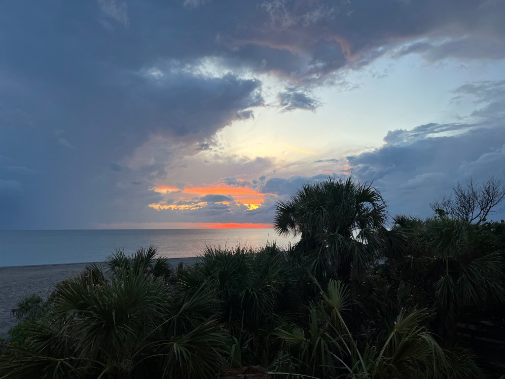 Current Venice Wine&nbsp;Musings