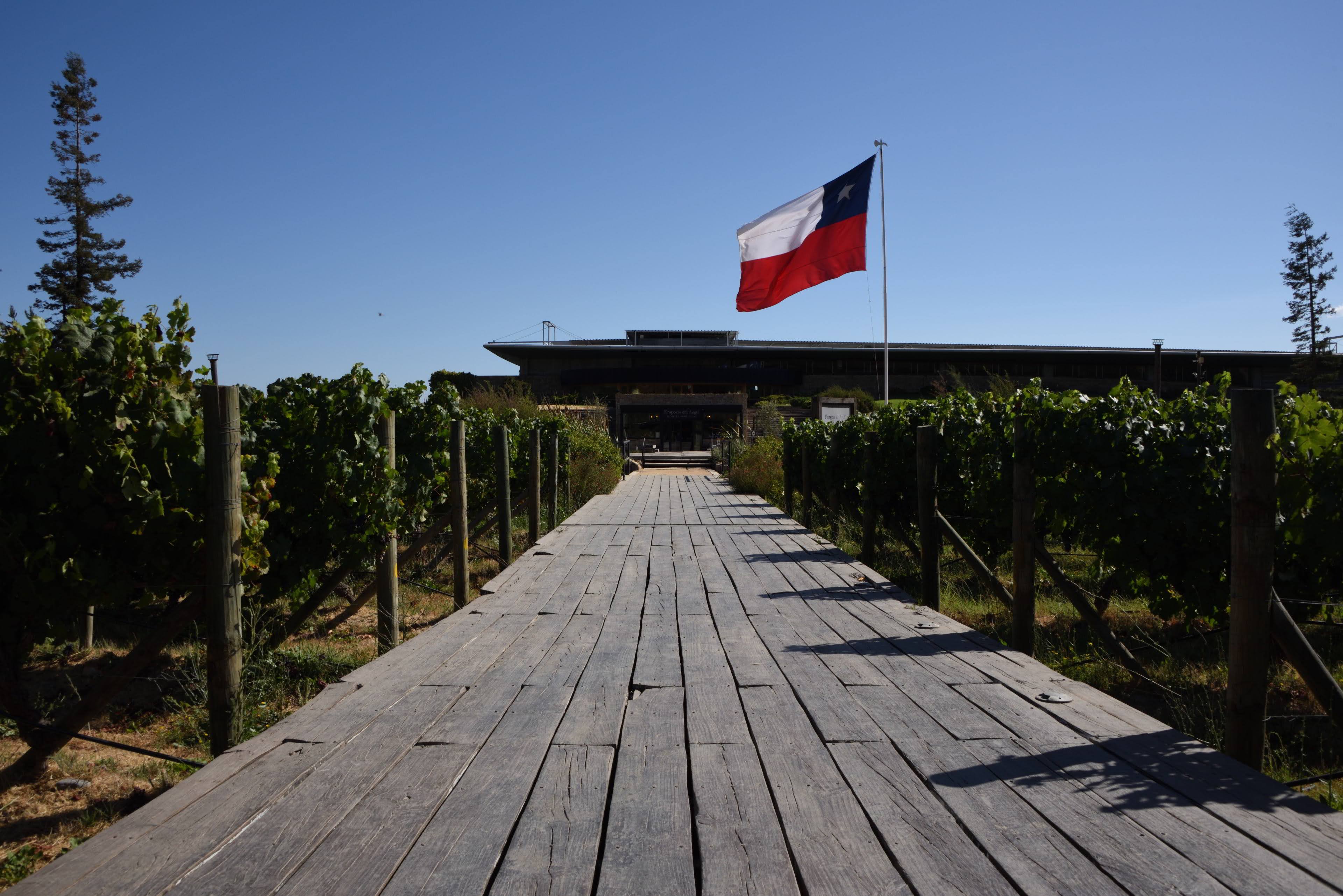 ✈️ Flashback to Day Zero in Chile 🇨🇱: A First Taste of the Best Wineries in the Colchagua Valley 🍷
