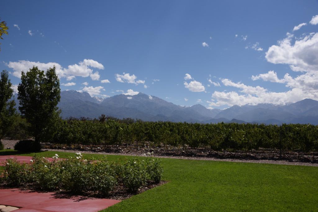 Solo Contigo Winery Uco Valley Argentina