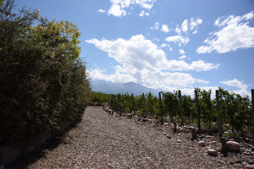 Solo Contigo Winery Uco Valley Argentina