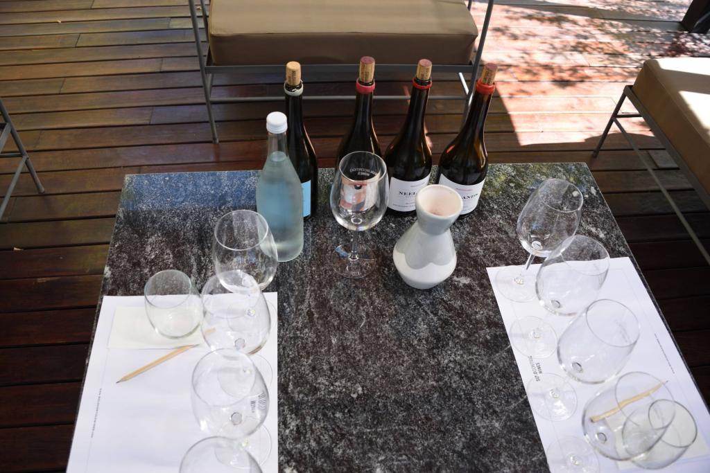 Solo Contigo Winery Uco Valley Argentina