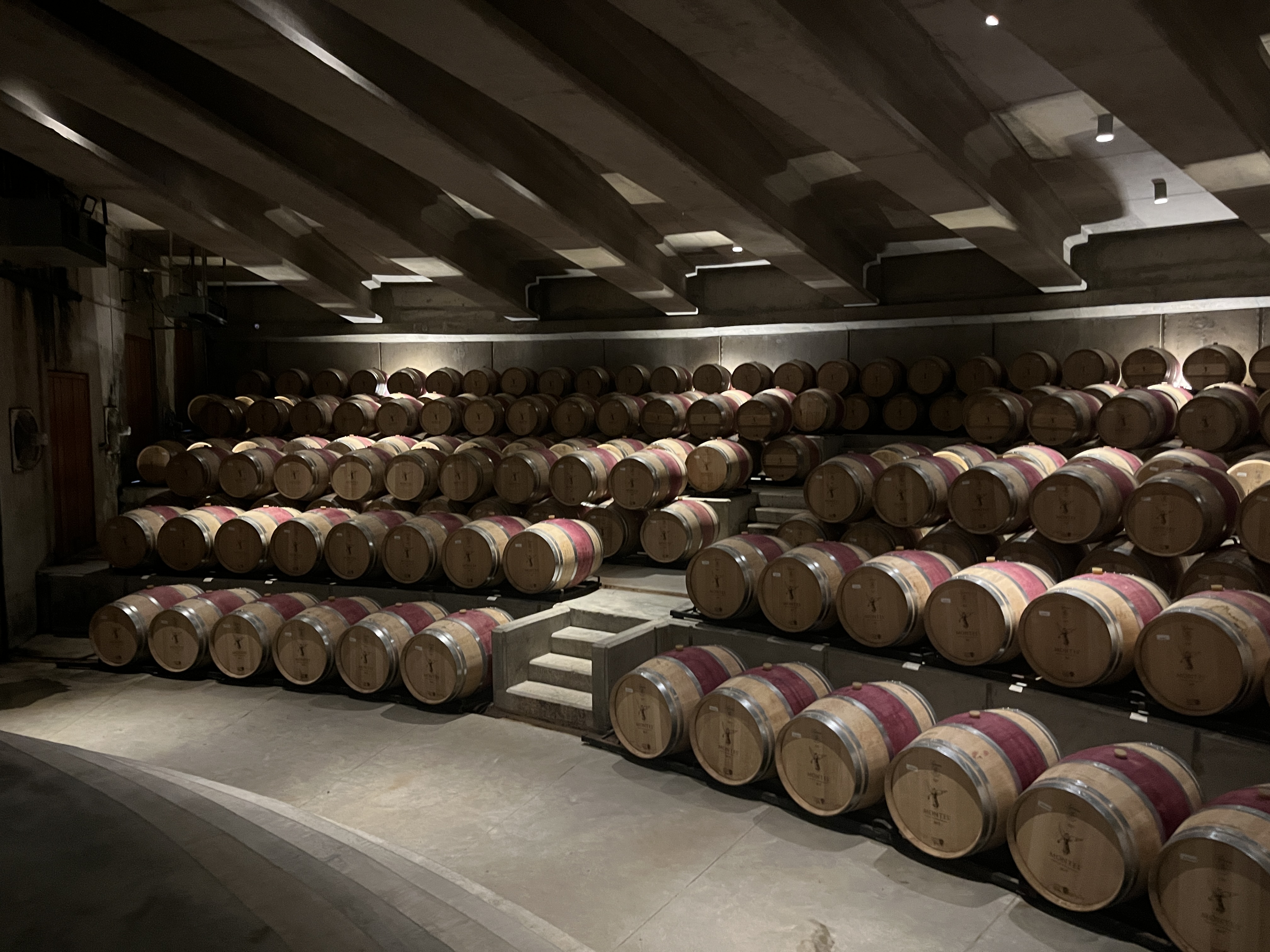 ✈️ Vámonos! Uncork amazing wines with us in South America!