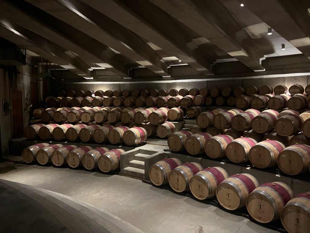 ✈️ Vámonos! Uncork amazing wines with us in South America!