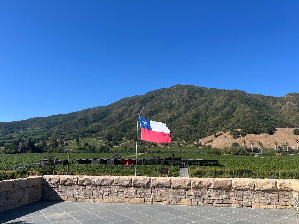 🇨🇱 Exploremos Colchagua: Join us to Taste the Best Wines of Chile (Day 1)🍷