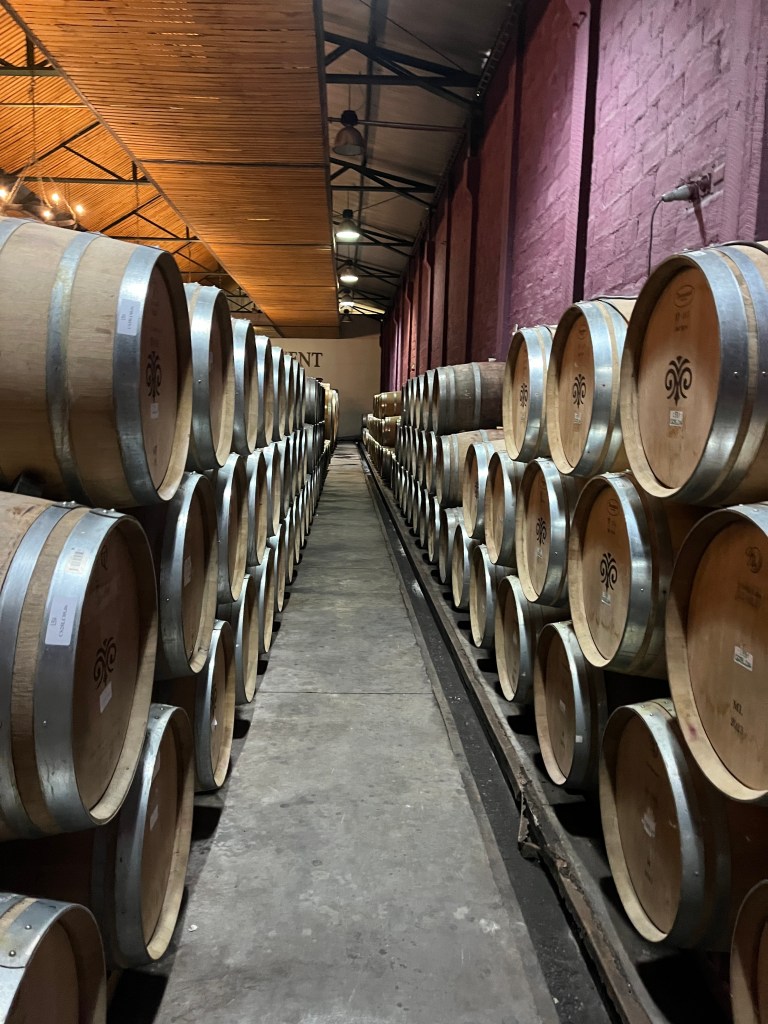 Wine barrels at Viu Manent winery in Colchagua Valley Chile