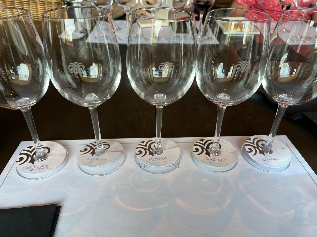 Wine glasses on the tasting table at Viu Manent winery Colchagua Valley Chile