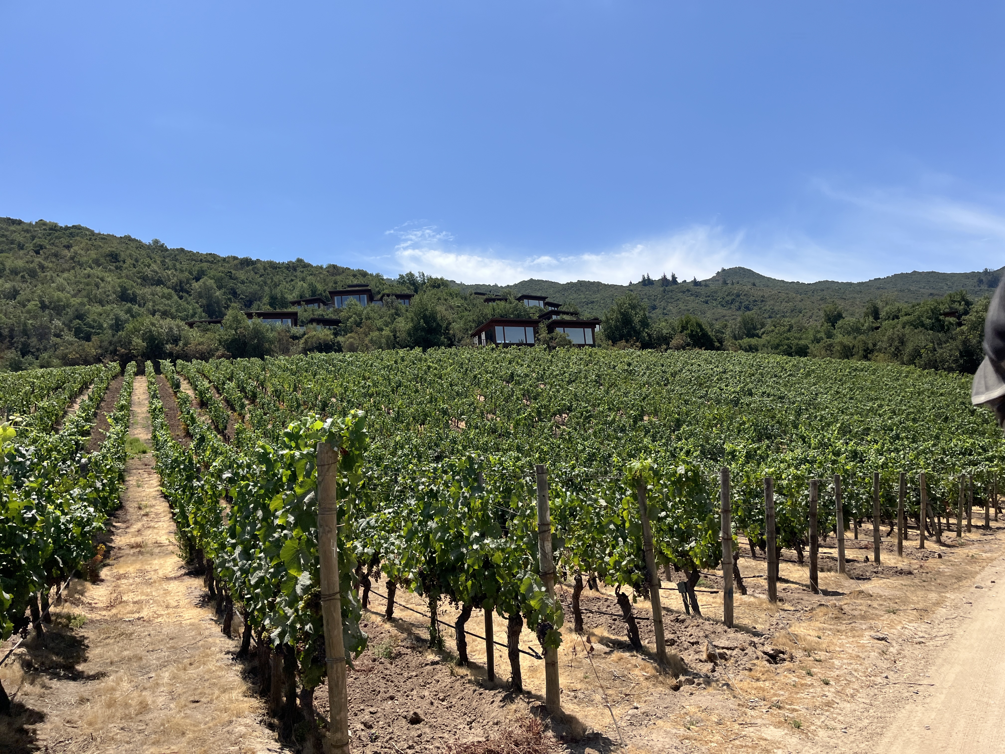 🇨🇱 A Day We Wanted to Bottle: Day 2 of Wine Tasting in Chile’s Colchagua Valley 🍾