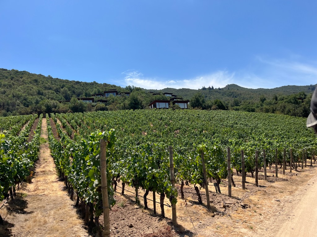 🇨🇱 A Day We Wanted to Bottle: Day 2 of Wine Tasting in Chile’s Colchagua Valley 🍾