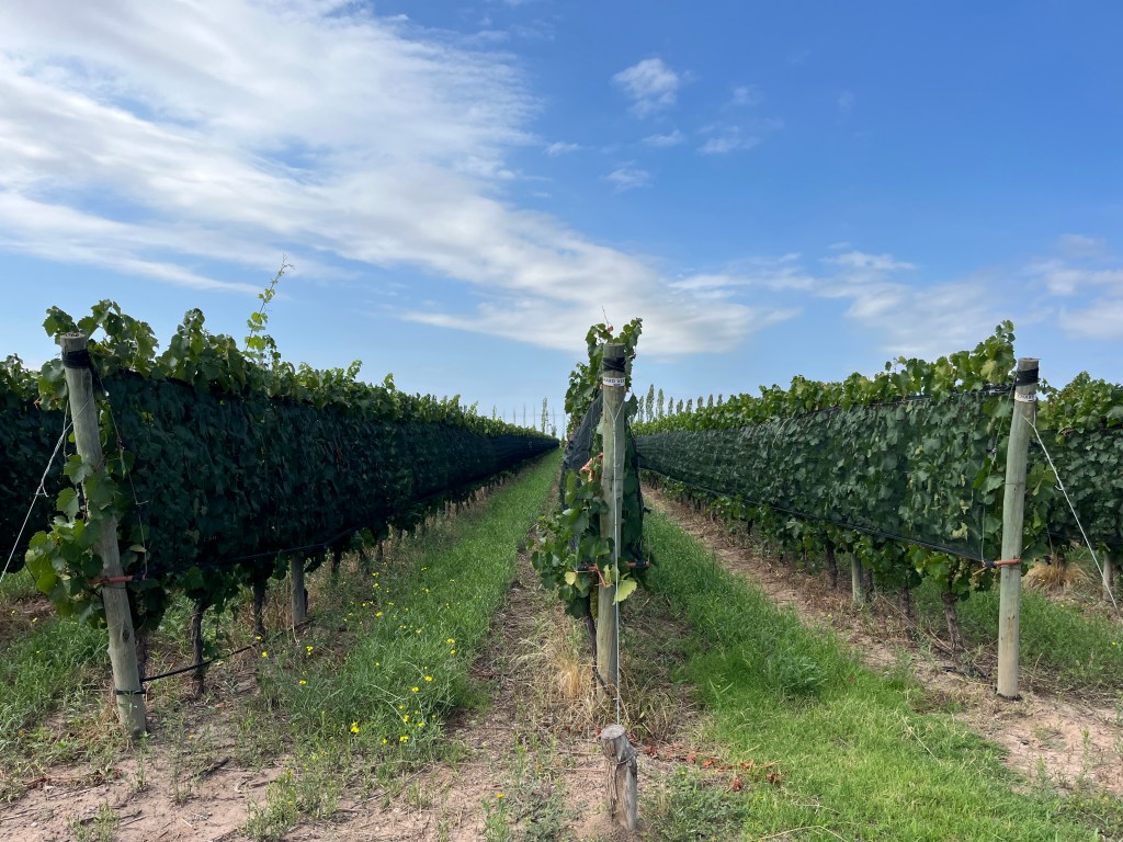 Caelum Winery Uco Valley Argentina