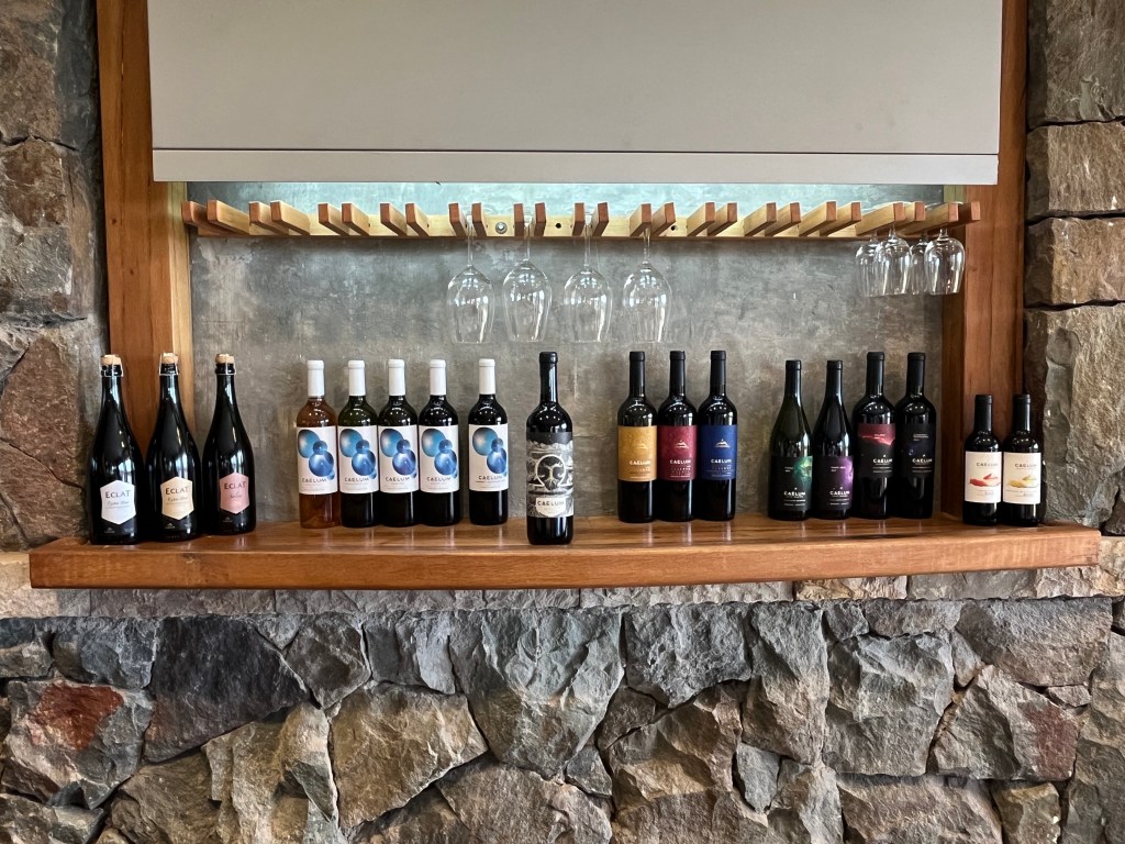 Wines Caelum Winery Uco Valley Argentina