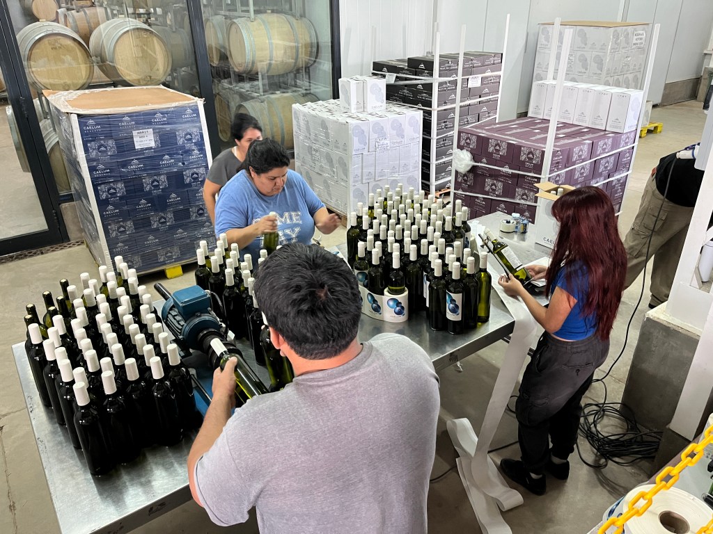 Wines Caelum Winery Uco Valley Argentina