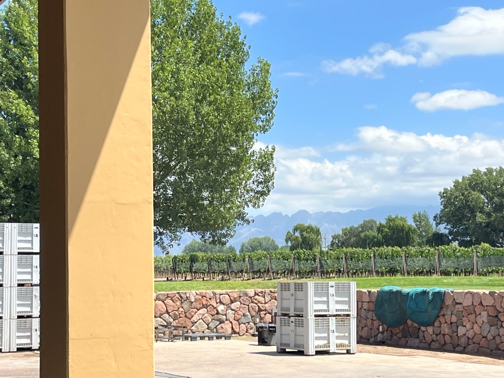 Finca Decero Uco Valley Argentina