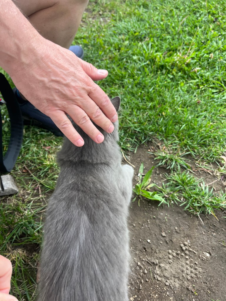 Zorzal Winery in Gualtallary Mendoza Argentina