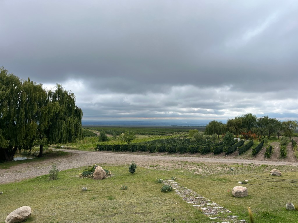 Zorzal Winery in Gualtallary Mendoza Argentina
