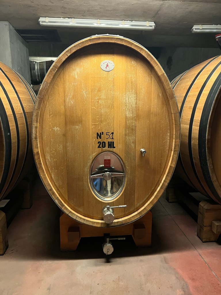 Zorzal Winery in Gualtallary Mendoza Argentina