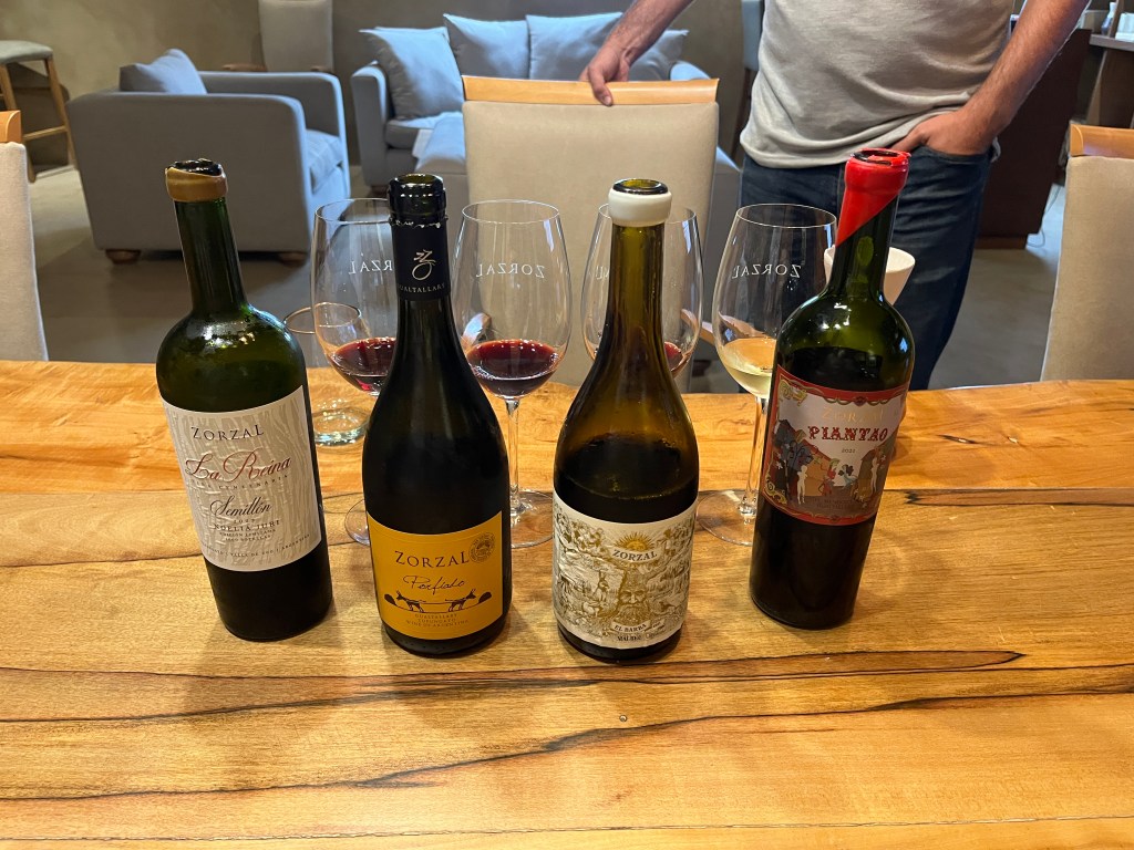 Zorzal Winery in Gualtallary Mendoza Argentina