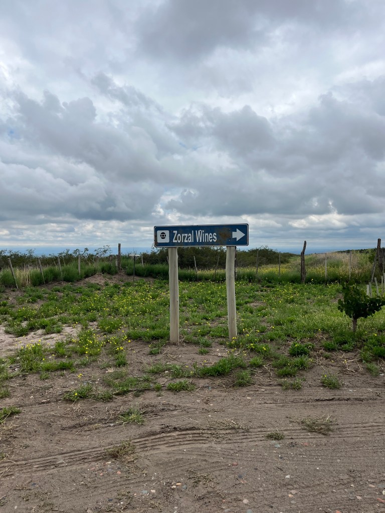 Zorzal Winery in Gualtallary Mendoza Argentina