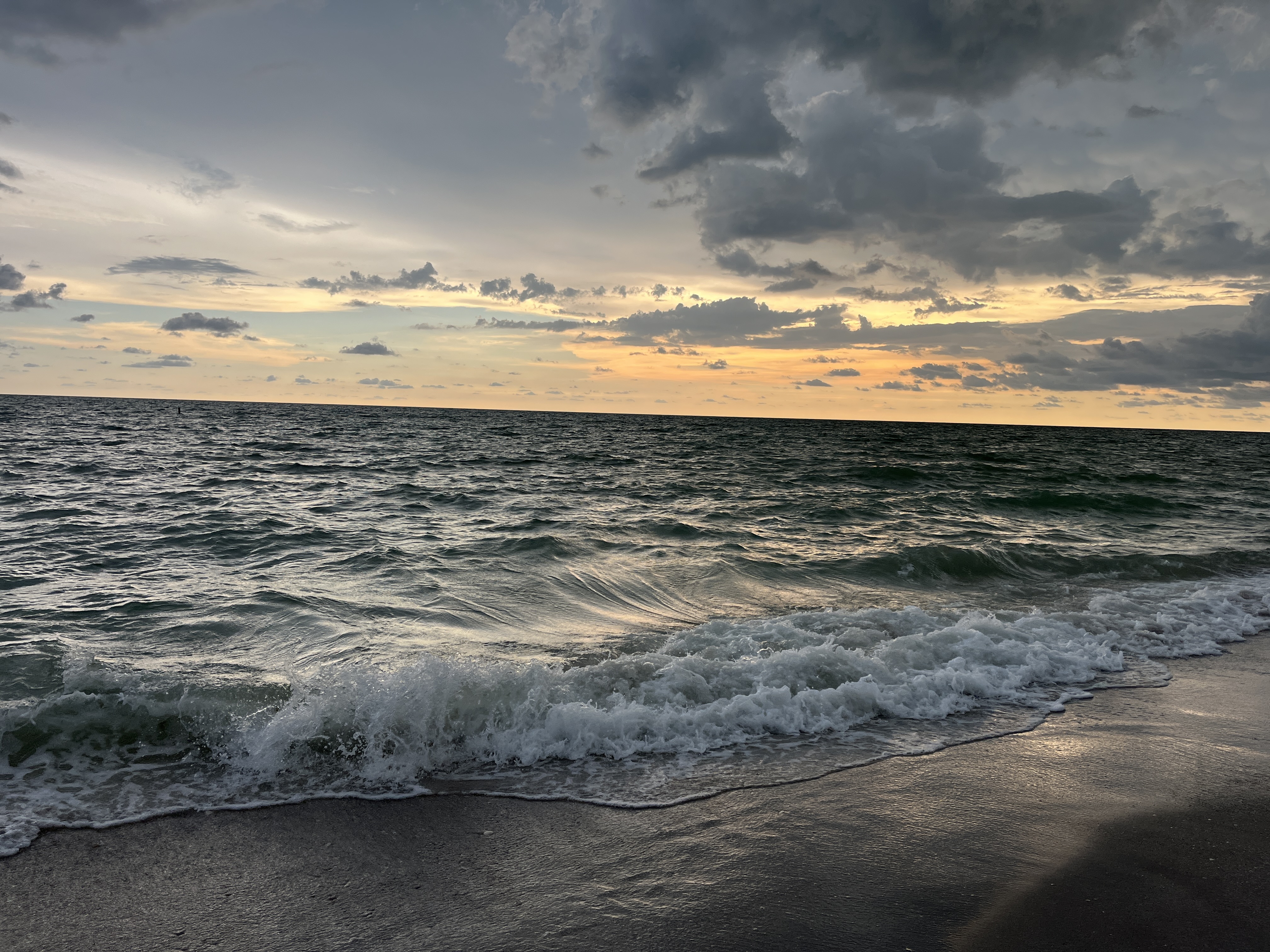 🏝️ Happy Hours around Venice and Englewood (August 2026)