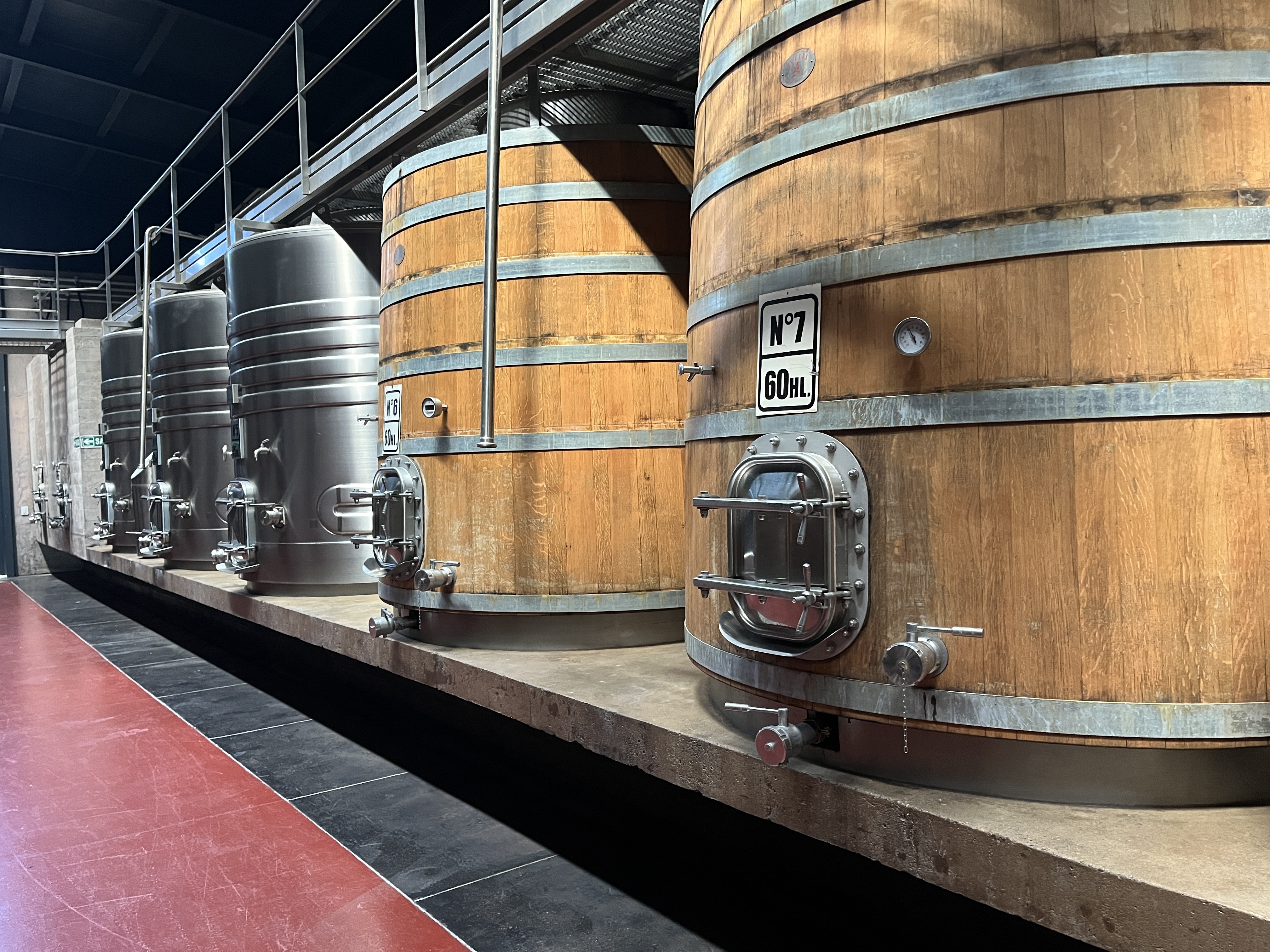Behind the Bottle: The Moment Grape Juice Becomes Wine